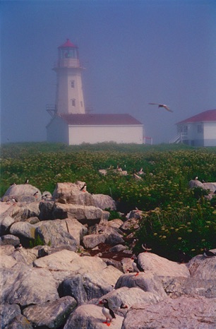 Machias Seal Island Lighthouse - NHP194 Machias Seal Island Lighthouse - NHP194
